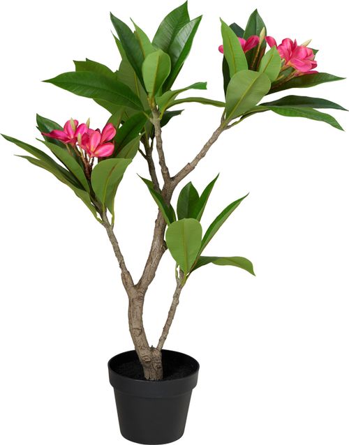 Kunstpflanze FRANGIPANI | Pflanzen | Wohnaccessoires | Accessoires | und  Polstermbel gnstig online kaufen bei TRENDS.de