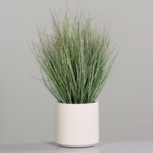 Kunstpflanze Gras | Pflanzen | Wohnaccessoires | Accessoires | Alles Wohnen  dieser Welt im Einrichtungs-Centrum und auf OSTERMANN.de