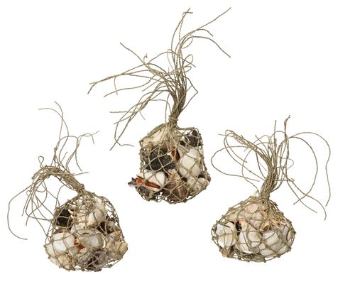 amazon kratzbaum xxl Grace Bloom  Kratzbaum XXL mit Katzenkorb